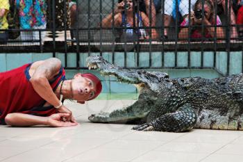 Phuket, THAILAND - JUNE 11: A man puts his head in a crocodile's mouth in a crocodile show at Phuket zoo June 11, 2011 in Phuket, Thailand.