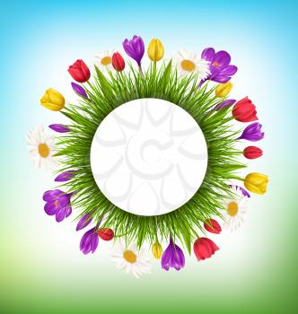Circle frame with green grass and flowers. Floral nature background