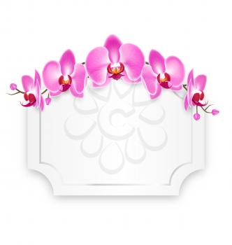 Pink Orchid Flowers with Celebration Frame Isolated on White Background