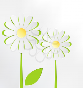 Two cutout chamomiles on grayscale. Floral spring abstract background