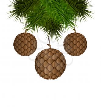 Brown cones like christmas balls hanging on pine branches isolated on white background