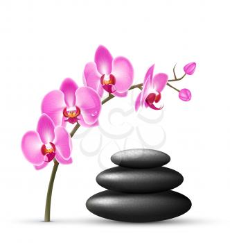 Stack of spa stones with orchid pink flowers isolated on white background