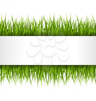Green grass with frame isolated on white. Floral eco nature background