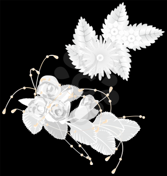White flowers isolated on black background