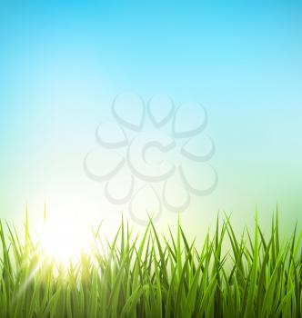 Green grass lawn with sunrise on blue sky. Floral nature spring background