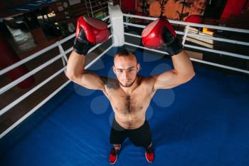 Boxer with an angry face has raised a hand up. Fighting ring on the background. Boxing power