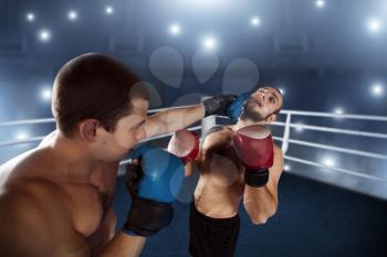 Boxer sents his opponent to the knockout. Fighting ring on the background. Box sport.