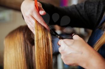 Professional hairdresser cutting hair with scissors Hairdressing salon on the background.