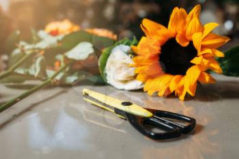Closeup black scissors on grey table against sunflower.