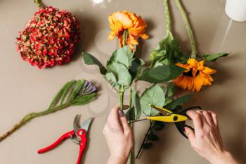 Florist hands cutting rose with garden scissors. Florist creating decorative flower bouquet.