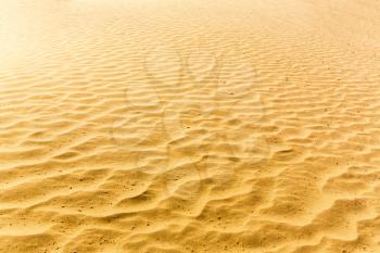 Sands of the desert. Sand waves texture for background