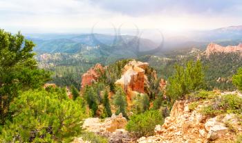 Pine trees on rocky mountains at  Bryce Canyon National Park, Utah USA