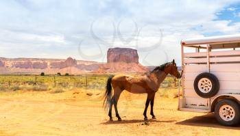 Horse near the trailer. Monument valley travaling.