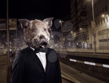 Portrait of groom in suit with wild boar head, night cityscape on background