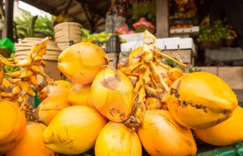 King coconut bunch in fruit shop on sri lanka. Ceylon tropical sweets