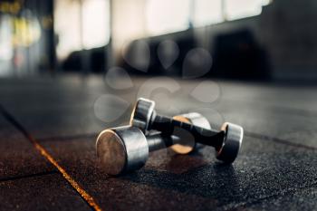 Dumbbells on rubber floor closeup view, fitness club, blur background