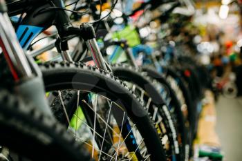 Bicycle shop, rows of new bikes. Equipment and accessories for cycles. Sport store