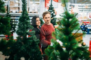 Couple buying christmas tree in supermarket. December shopping, choosing of holiday decorations