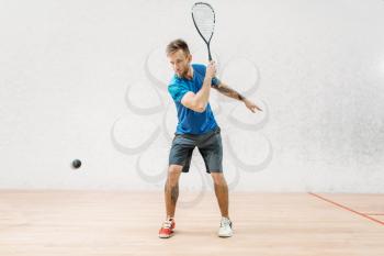Squash game training, male player with racket and ball, indoor court on background