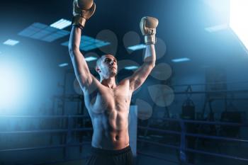Boxer in gloves hands up on the ring. Boxing workout, mens sport