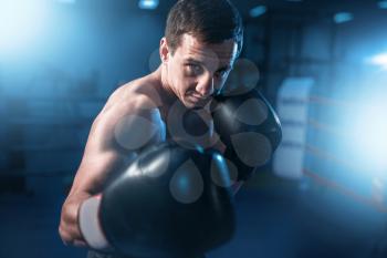 Portrait of muscular boxer in black gloves. Boxing workout, mens sport