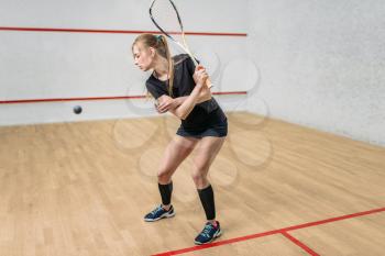 Squash game training, female player with racket in hands, indoor sport club on background