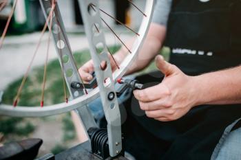 Male person in apron adjusts bike spokes and wheel with service tools. Cycle workshop outdoor. Bicycling sport, professional bicycle mechanic