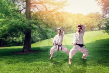 Martial arts karate masters in white kimono and black belts, training in summer park