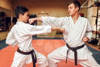 Martial arts karate masters in white kimono and black belts, self-defence practice in gym