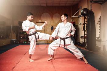 Martial arts masters in white kimono and black belts, self-defence practice in gym