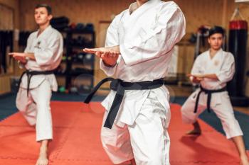 Martial arts karate master and his disciples in white uniform and black belts, fight training in action, workout in gym