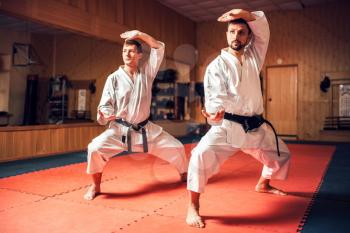 Martial arts karate masters in white uniform and black belts training combat skill. Sport workout in gym