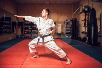 Martial arts karate master in white kimono and black belt on fight training in gym practicing kata