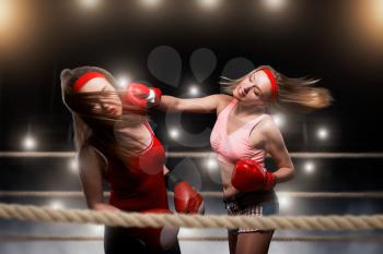 Two female kickboxers in action, fighting on the ring, low kick. Martial art