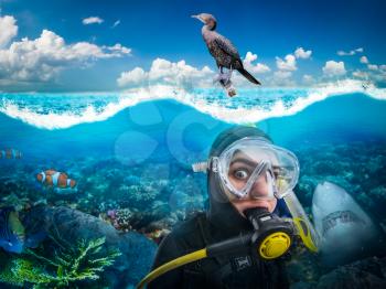 Female diver in wetsuit and diving gear gasps under water, bird sitting on a tube, underwater side view. Frogman in mask and scuba swims in the ocean
