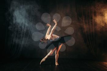 Elegance ballerina in action on theatrical stage. Classical ballet dancer in motion