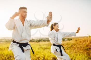 Male and female karate masters with black belts fight in summer field. Martial art fighters on training outdoor, technique practice