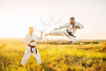 Karate fighters, kick in flight on training fight in summer field. Martial art fighters on workout outdoor, technique practice