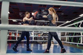 Two women in gloves boxing on the ring, box workout. Female boxers in gym, kickboxing sparring partners in sport club, punches practice