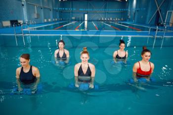 Female swimmers group, aqua aerobics, training with dumbbells in the pool. Women in the water, sport swimming fitness workout