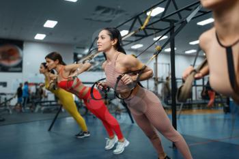 Group of women doing fit exercise in gym. People on fitness workout in sport club, athletic girls in sportswear on training indoors