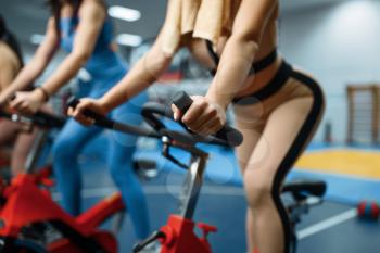 Group of sportive women doing exercise on stationary bikes in gym. People on fitness workout in sport club, athletic girls in sportswear on training indoors