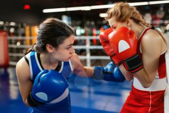 Women in red and blue gloves boxing on the ring, box training. Female boxers in gym, kickboxing sparring partners in sport club, punches practice