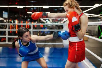 Women in red and blue gloves boxing on the ring, box training. Female boxers in gym, kickboxing sparring partners in sport club