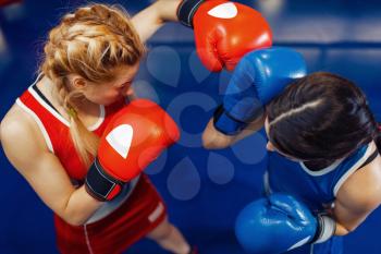 Women in gloves boxing on the ring, top view, box training. Female boxers in gym, kickboxing sparring partners in sport club, punches practice