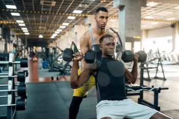 Two men doing exercise with dumbbells on bench, training in gym. Fit workout in sport club, healthy lifestyle, fitness
