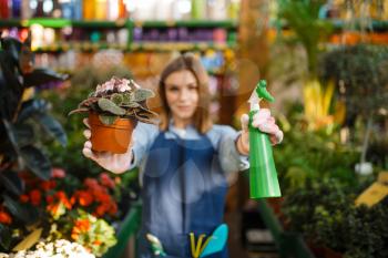 Female gardener with flower and garden spray shop for gardening. Woman sells plants in florist store, seller