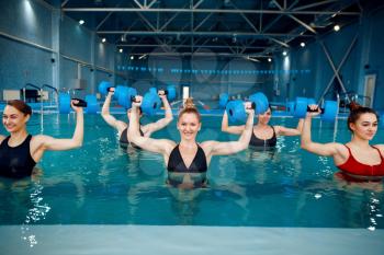 Female group on aqua aerobics, exercise with dumbbells in the pool. Women in the water, sport swimming fitness