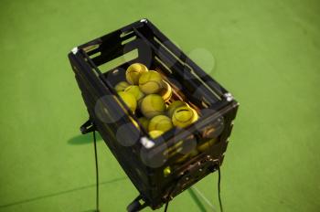 Basket with big tennis balls, top view, nobody, green court cover on background. Active healthy lifestyle, sport game with racket concept