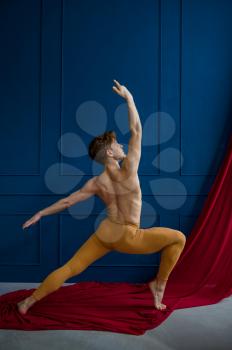 Male ballet dancer poses in dancing studio, blue walls and red cloth on background. Performer with muscular body, grace and elegance of movements